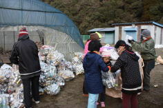 空きビン・空き缶回収のようす