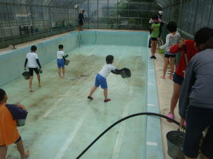 プールそうじのようす