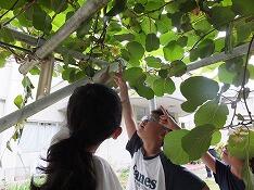 花を見る１･２年生