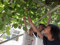 花を見る１・２年生