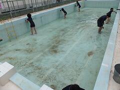 汚れているプール