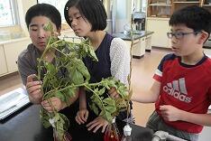 色の付き具合の観察