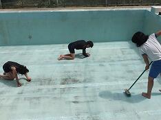 しっかりみがきます