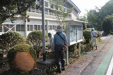 奉仕作業のようす