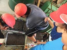 ５・６年生のようす