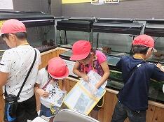 淡水魚水族館にて