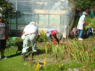 奉仕作業のようす