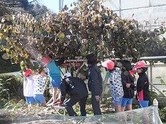 どこにあるかな？