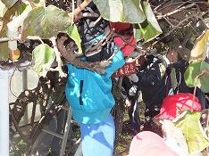 とれそうでとれない…