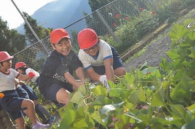 おいらのためなら、えーんやこーら