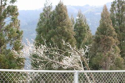 風流・・・だがしかし、あったかいほうがいい！