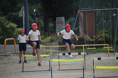 華麗なハードリングです