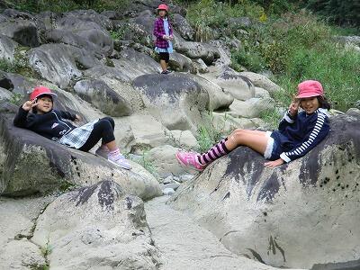 ほんわかするわー