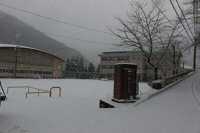 よく降ります。