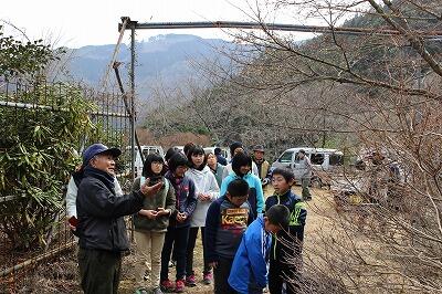 はじめて聞く木の名前です