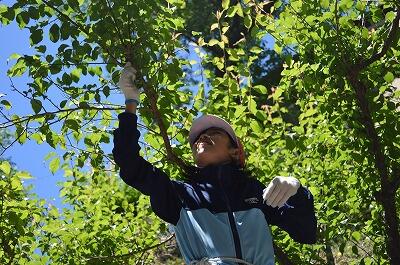 落とすから受け止めてねー
