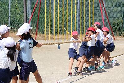 エイ、エイ、エイサーの掛け声は宮崎県独特らしいです。