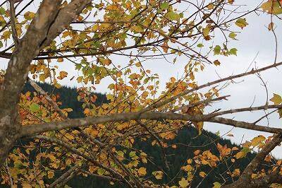 へぇーっくしょい。風邪に気をつけよ