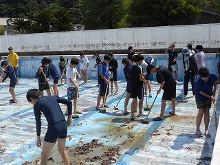 プールそうじのようす