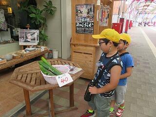 町たんけんのようす