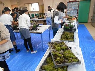 箱庭づくりのようす