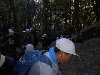 むかばき登山のようす