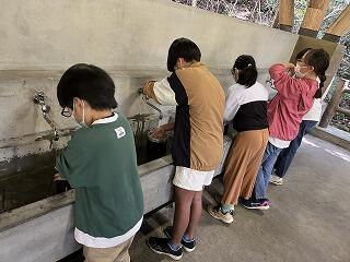 カレー作りのようす