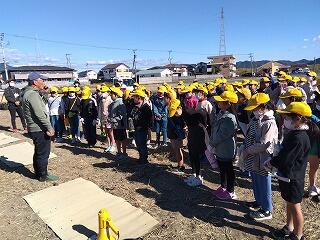 たまねぎの苗植えのようす