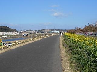 この花ウォークのようす