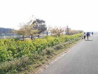 この花ウォークのようす