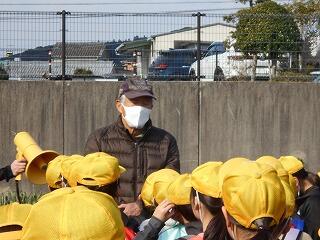 タマネギの収穫のようす