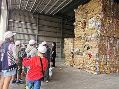 プレスされた段ボール等の古紙の山