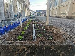寸分違わぬ美しい植栽