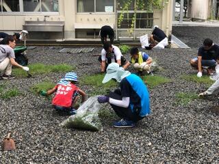 除草作業 除草作業