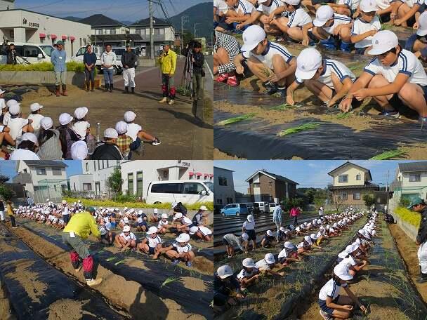 空飛ぶ新玉ねぎの苗植え