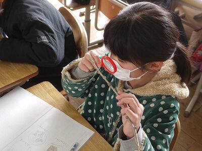 虫めがねで冬芽の観察４