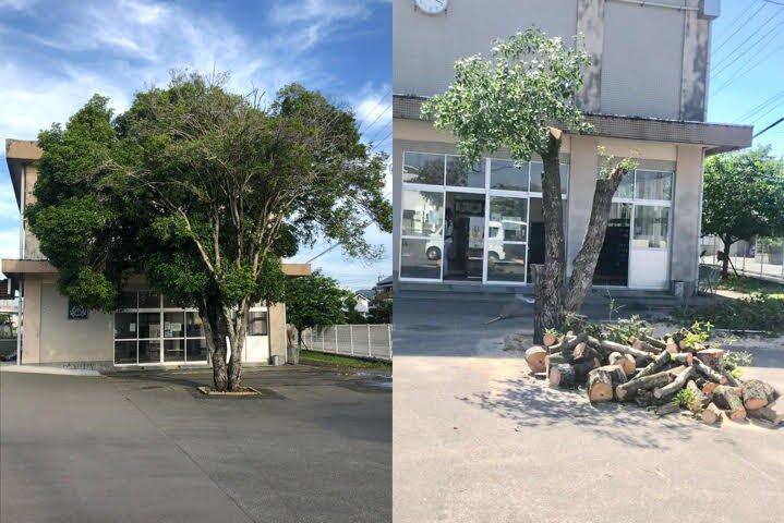 ビフォーアフター ビフォーアフター