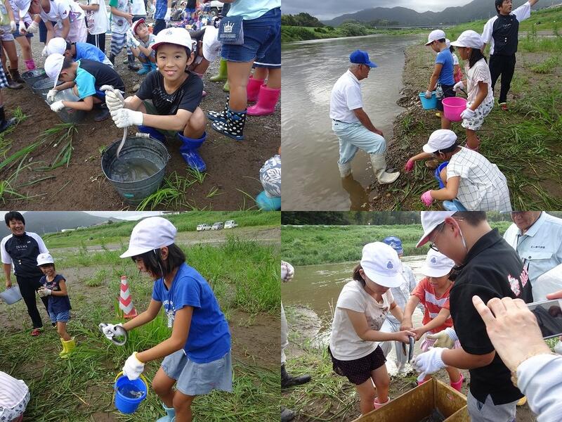 ウナギの放流活動