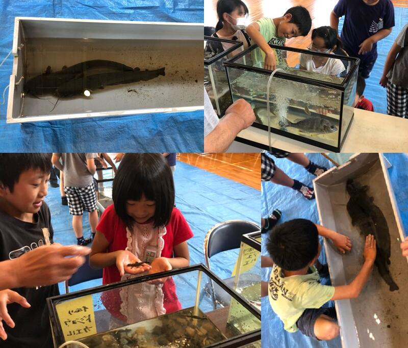 五ヶ瀬川水族館２