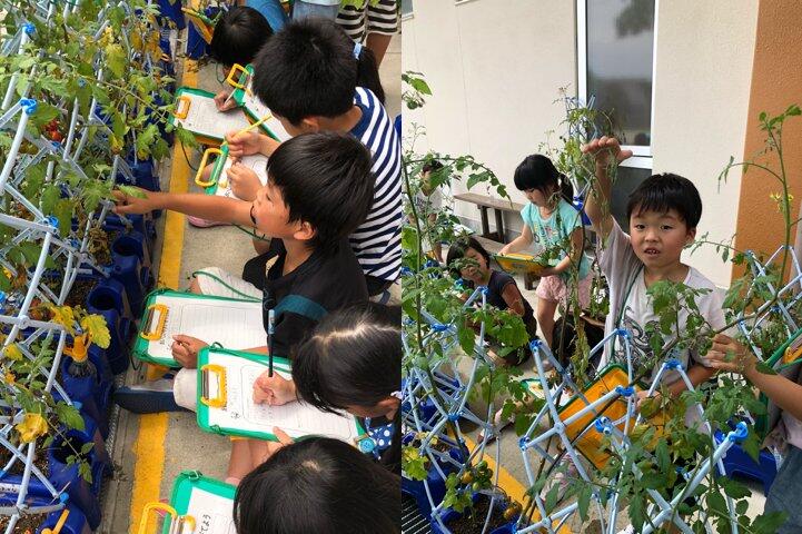 具体的な活動や体験２