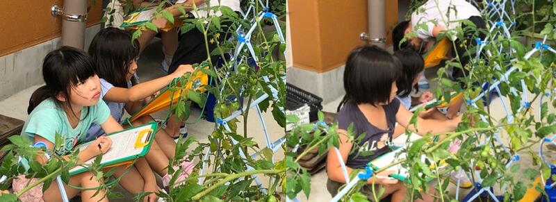 具体的な活動や体験３