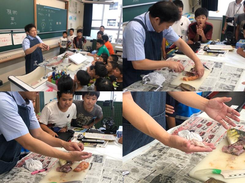 生物どうしのつながり