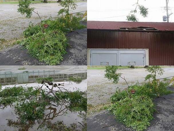 被害状況 被害状況