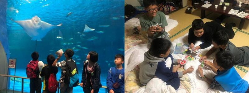 鹿児島水族館とホテルの夜