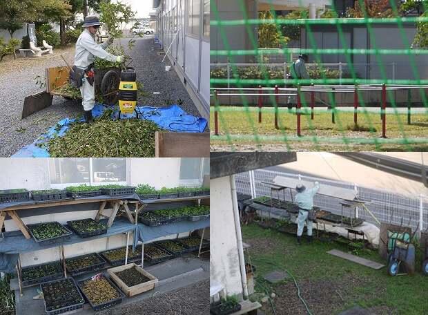 伊東さん 伊東さん