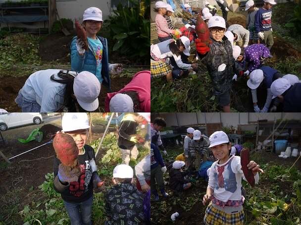 いもほり（２年）