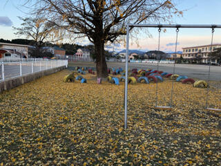 黄色いじゅうたん