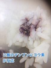 ご飯にはデンプンがあるので反応します