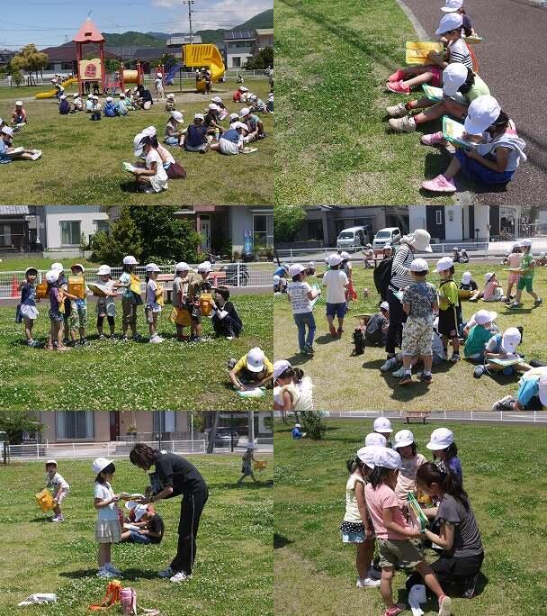 学校のまわりで見つけたよ
