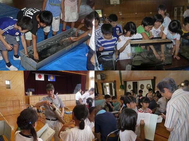 五ヶ瀬川水族館